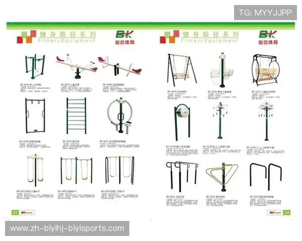 运动健身器材大全图片展示与功能解析